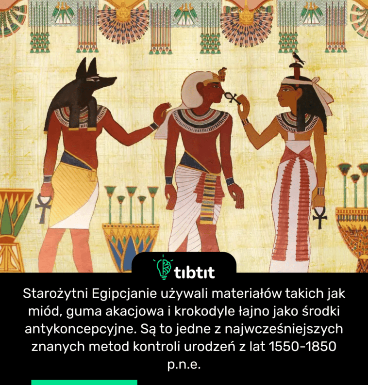 Starożytni Egipcjanie używali materiałów takich jak miód, guma akacjowa i krokodyle łajno jako środki antykoncepcyjne. Są to jedne z najwcześniejszych znanych metod kontroli urodzeń z lat 1550-1850 p.n.e.