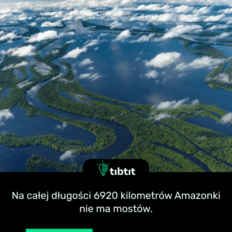 Na całej długości 6920 kilometrów Amazonki nie ma mostów.
