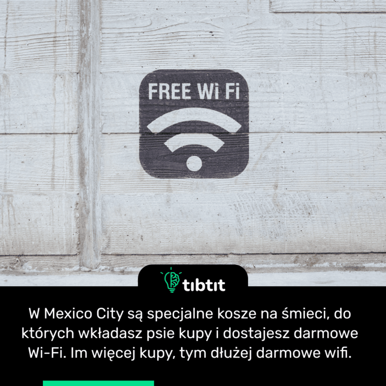 W Mexico City są specjalne kosze na śmieci, do których wkładasz psie kupy i dostajesz darmowe Wi-Fi. Im więcej kupy, tym dłużej darmowe wifi.