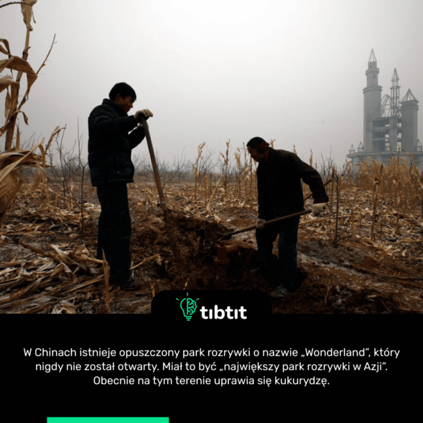W Chinach istnieje opuszczony park rozrywki o nazwie „Wonderland”, który nigdy nie został otwarty. Miał to być „największy park rozrywki w Azji”. Obecnie na tym terenie uprawia się kukurydzę.