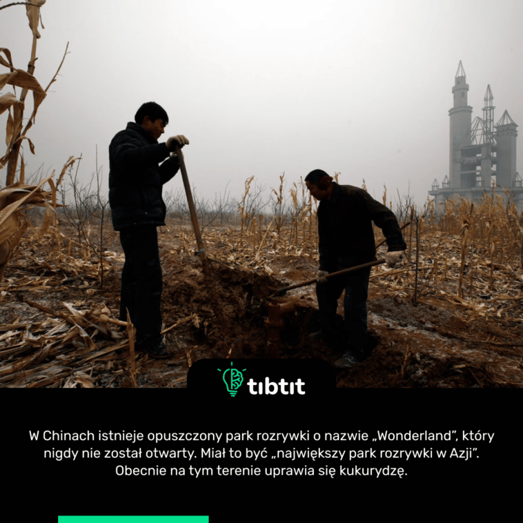 W Chinach istnieje opuszczony park rozrywki o nazwie „Wonderland”, który nigdy nie został otwarty. Miał to być „największy park rozrywki w Azji”. Obecnie na tym terenie uprawia się kukurydzę.
