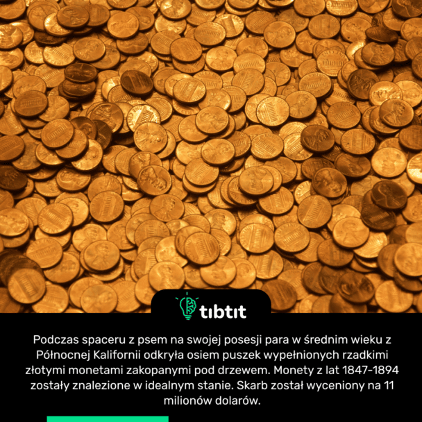 Podczas spaceru z psem na swojej posesji para w średnim wieku z Północnej Kalifornii odkryła osiem puszek wypełnionych rzadkimi złotymi monetami zakopanymi pod drzewem. Monety z lat 1847-1894 zostały znalezione w idealnym stanie. Skarb został wyceniony na 11 milionów dolarów.