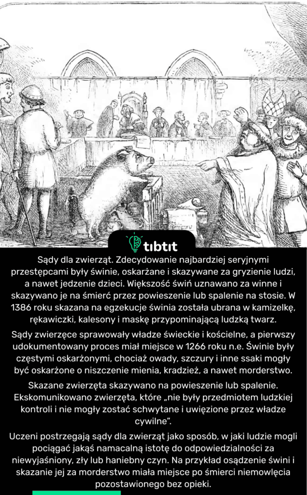 Sądy dla zwierząt. Zdecydowanie najbardziej seryjnymi przestępcami były świnie, oskarżane i skazywane za gryzienie ludzi, a nawet jedzenie dzieci. Większość świń uznawano za winne i skazywano je na śmierć przez powieszenie lub spalenie na stosie. W 1386 roku skazana na egzekucje świnia została ubrana w kamizelkę, rękawiczki, kalesony i maskę przypominającą ludzką twarz. Sądy zwierzęce sprawowały władze świeckie i kościelne, a pierwszy udokumentowany proces miał miejsce w 1266 roku n.e. Świnie były częstymi oskarżonymi, chociaż owady, szczury i inne ssaki mogły być oskarżone o niszczenie mienia, kradzież, a nawet morderstwo. Skazane zwierzęta skazywano na powieszenie lub spalenie. Ekskomunikowano zwierzęta, które „nie były przedmiotem ludzkiej kontroli i nie mogły zostać schwytane i uwięzione przez władze cywilne”. Uczeni postrzegają sądy dla zwierząt jako sposób, w jaki ludzie mogli pociągać jakąś namacalną istotę do odpowiedzialności za niewyjaśniony, zły lub haniebny czyn. Na przykład osądzenie świni i skazanie jej za morderstwo miała miejsce po śmierci niemowlęcia pozostawionego bez opieki.