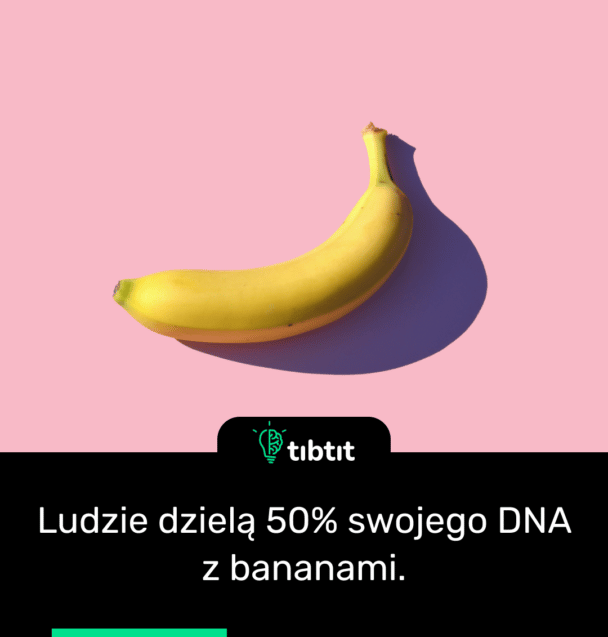 Ludzie dzielą 50% swojego DNA z bananami.