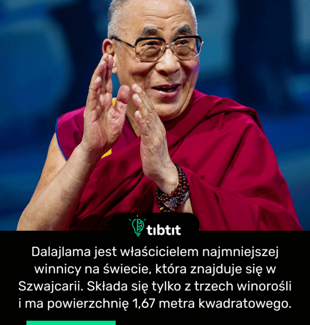 Dalajlama jest właścicielem najmniejszej winnicy na świecie, która znajduje się w Szwajcarii. Składa się tylko z trzech winorośli i ma powierzchnię 1,67 metra kwadratowego.