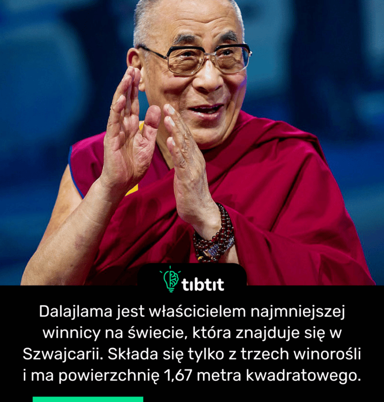 Dalajlama jest właścicielem najmniejszej winnicy na świecie, która znajduje się w Szwajcarii. Składa się tylko z trzech winorośli i ma powierzchnię 1,67 metra kwadratowego.