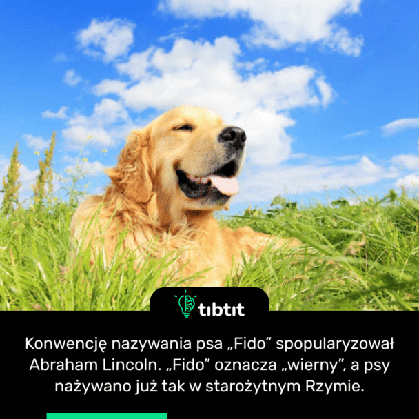 Konwencję nazywania psa „Fido” spopularyzował Abraham Lincoln. „Fido” oznacza „wierny”, a psy nażywano już tak w starożytnym Rzymie.