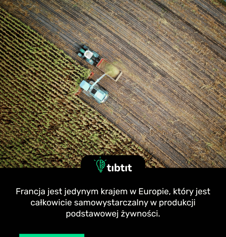 Francja jest jedynym krajem w Europie, który jest całkowicie samowystarczalny w produkcji podstawowej żywności.