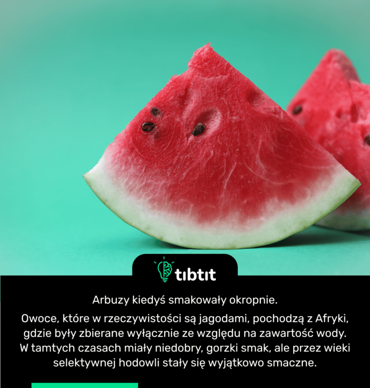 Arbuzy kiedyś smakowały okropnie. Owoce, które w rzeczywistości są jagodami, pochodzą z Afryki, gdzie były zbierane wyłącznie ze względu na zawartość wody. W tamtych czasach miały niedobry, gorzki smak, ale przez wieki selektywnej hodowli stały się wyjątkowo smaczne.