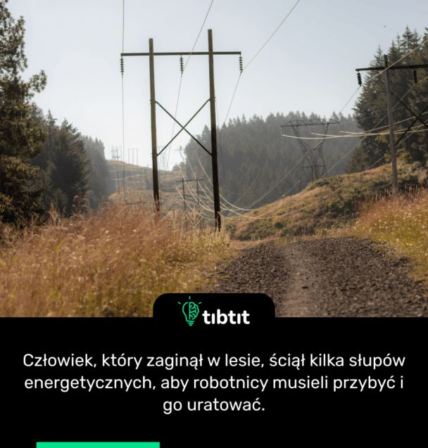 Człowiek, który zaginął w lesie, ściął kilka słupów energetycznych, aby robotnicy musieli przybyć i go uratować.