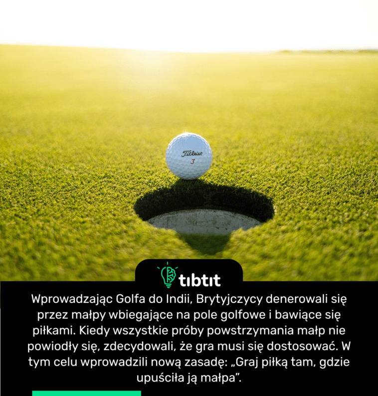 Wprowadzając Golfa do Indii, Brytyjczycy denerowali się przez małpy wbiegające na pole golfowe i bawiące się piłkami. Kiedy wszystkie próby powstrzymania małp nie powiodły się, zdecydowali, że gra musi się dostosować. W tym celu wprowadzili nową zasadę: „Graj piłką tam, gdzie upuściła ją małpa”.