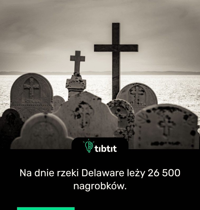 Na dnie rzeki Delaware leży 26 500 nagrobków.