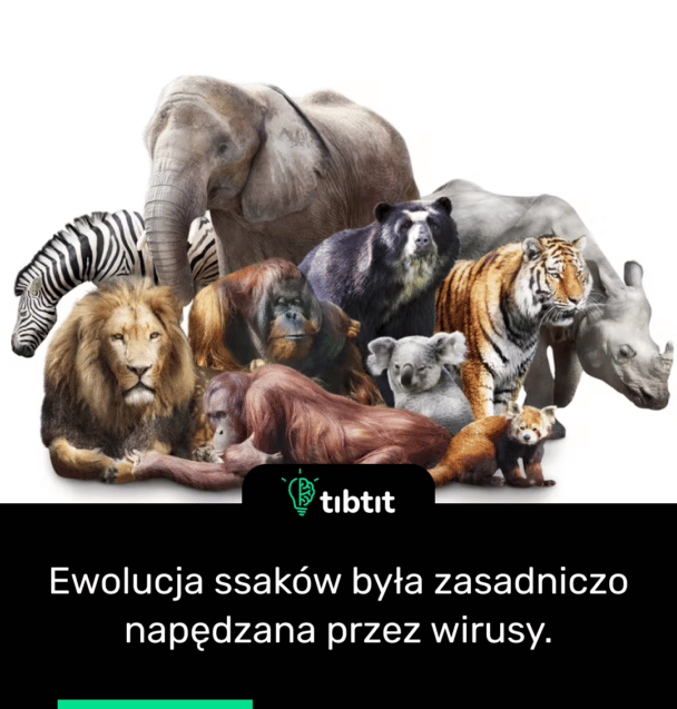 Ewolucja ssaków była zasadniczo napędzana przez wirusy.