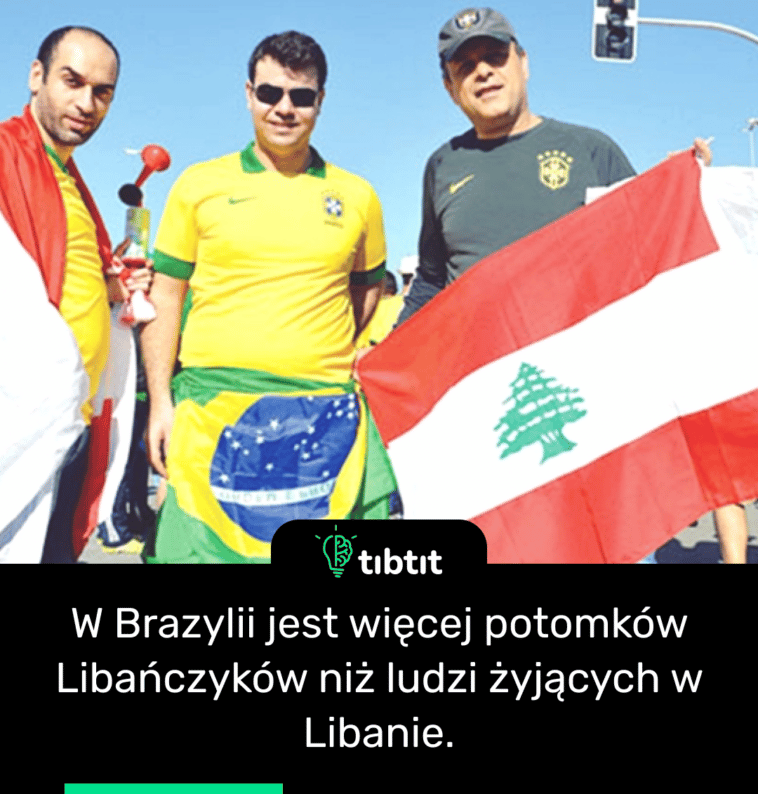 W Brazylii jest więcej potomków Libańczyków niż ludzi żyjących w Libanie.