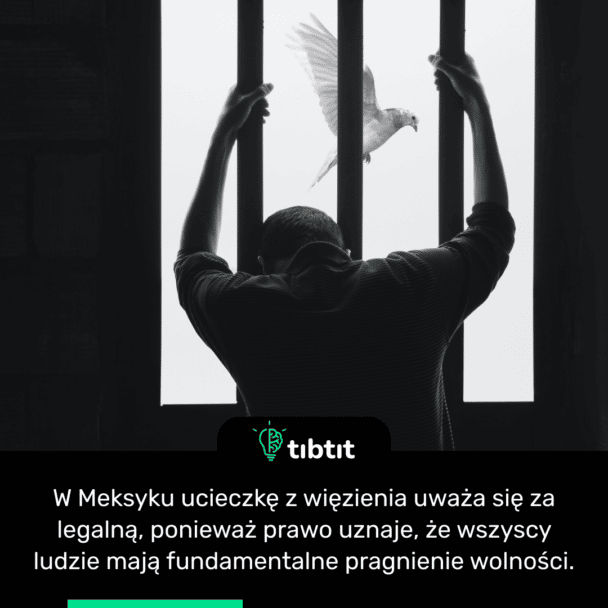 W Meksyku ucieczkę z więzienia uważa się za legalną, ponieważ prawo uznaje, że wszyscy ludzie mają fundamentalne pragnienie wolności.