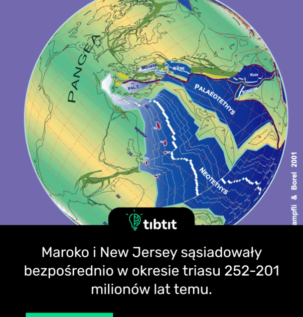 Maroko i New Jersey sąsiadowały bezpośrednio w okresie triasu 252-201 milionów lat temu.