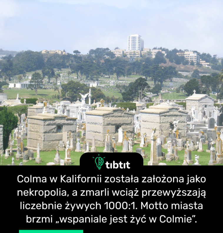 Colma w Kalifornii została założona jako nekropolia, a zmarli wciąż przewyższają liczebnie żywych 1000:1. Motto miasta brzmi „wspaniale jest żyć w Colmie”.