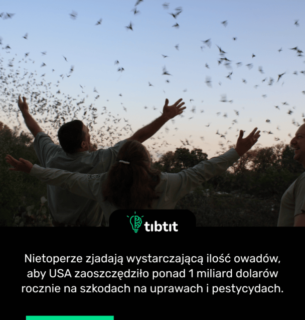 Nietoperze zjadają wystarczającą ilość owadów, aby USA zaoszczędziło ponad 1 miliard dolarów rocznie na szkodach na uprawach i pestycydach.