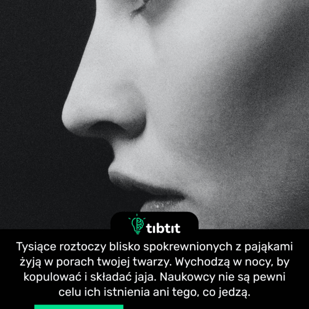 Tysiące roztoczy blisko spokrewnionych z pająkami żyją w porach twojej twarzy. Wychodzą w nocy, by kopulować i składać jaja. Naukowcy nie są pewni celu ich istnienia ani tego, co jedzą.