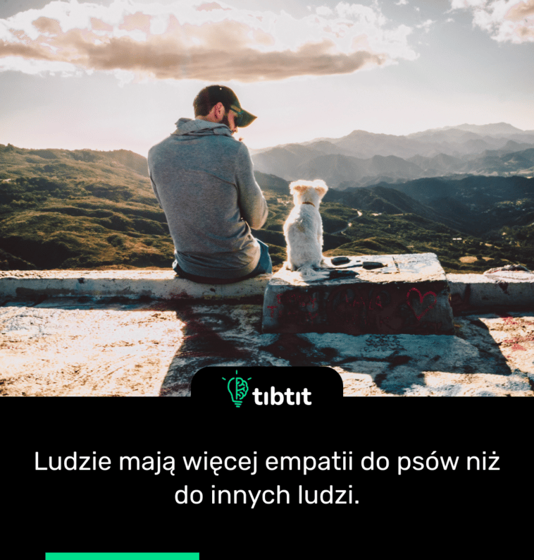 Ludzie mają więcej empatii do psów niż do innych ludzi.