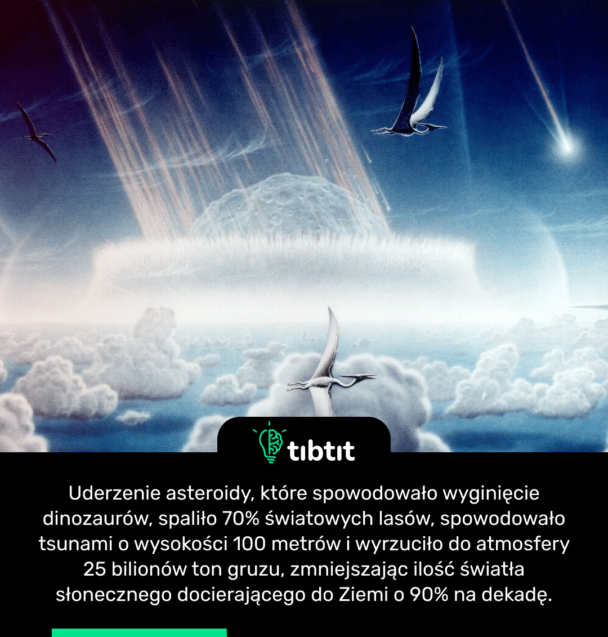 Uderzenie asteroidy, które spowodowało wyginięcie dinozaurów, spaliło 70% światowych lasów, spowodowało tsunami o wysokości 100 metrów i wyrzuciło do atmosfery 25 bilionów ton gruzu, zmniejszając ilość światła słonecznego docierającego do Ziemi o 90% na dekadę.