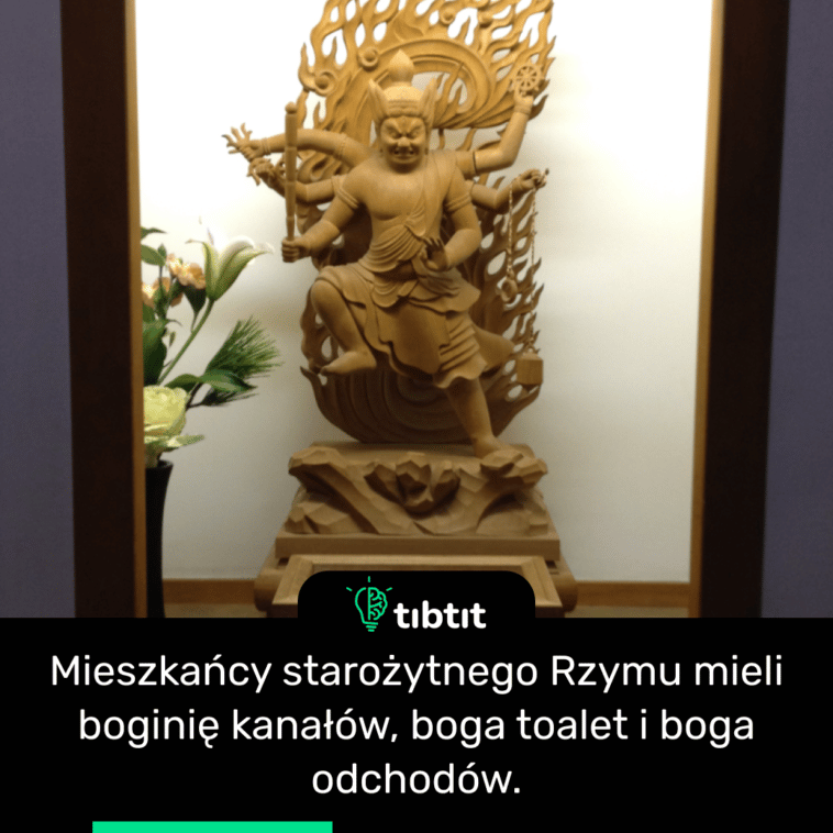 Mieszkańcy starożytnego Rzymu mieli boginię kanałów, boga toalet i boga odchodów.