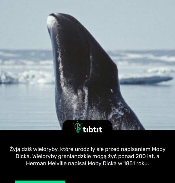 Żyją dziś wieloryby, które urodziły się przed napisaniem