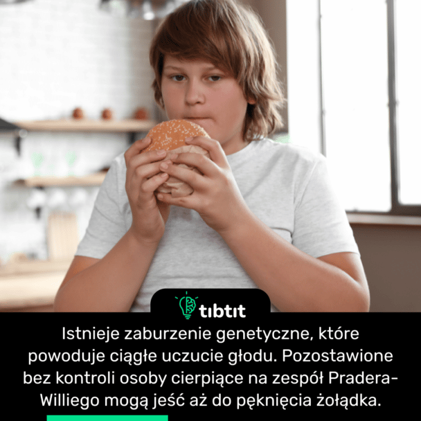 Istnieje zaburzenie genetyczne, które powoduje ciągłe uczucie głodu. Pozostawione bez kontroli osoby cierpiące na zespół Pradera-Williego mogą jeść aż do pęknięcia żołądka.