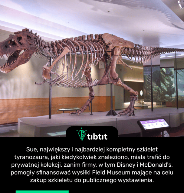 Sue, największy i najbardziej kompletny szkielet tyranozaura, jaki kiedykolwiek znaleziono, miała trafić do prywatnej kolekcji, zanim firmy, w tym Disney i McDonald's, pomogły sfinansować wysiłki Field Museum mające na celu zakup szkieletu do publicznego wystawienia.