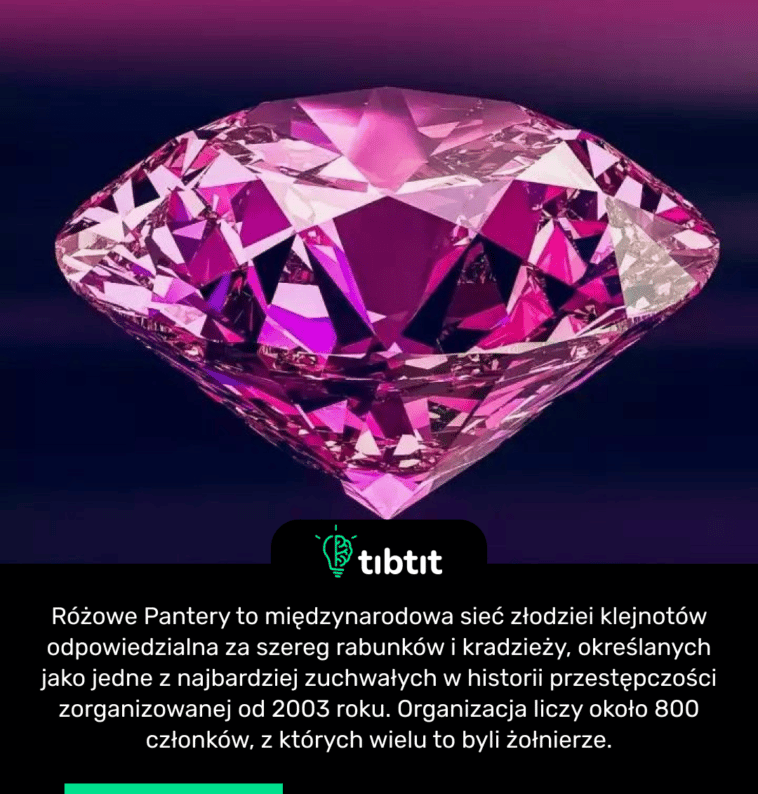 Różowe Pantery to międzynarodowa sieć złodziei klejnotów odpowiedzialna za szereg rabunków i kradzieży, określanych jako jedne z najbardziej zuchwałych w historii przestępczości zorganizowanej od 2003 roku. Organizacja liczy około 800 członków, z których wielu to byli żołnierze.