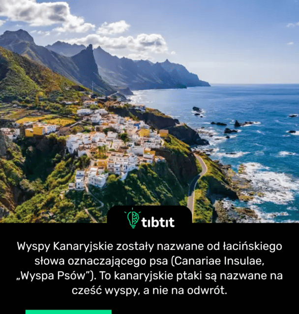 Wyspy Kanaryjskie zostały nazwane od łacińskiego słowa oznaczającego psa (Canariae Insulae, „Wyspa Psów”). To kanaryjskie ptaki są nazwane na cześć wyspy, a nie na odwrót.