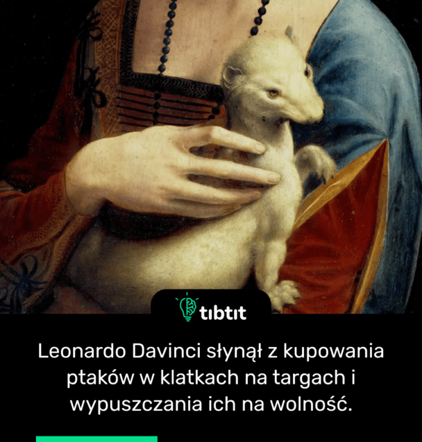 Leonardo Davinci słynął z kupowania ptaków w klatkach na targach i wypuszczania ich na wolność.