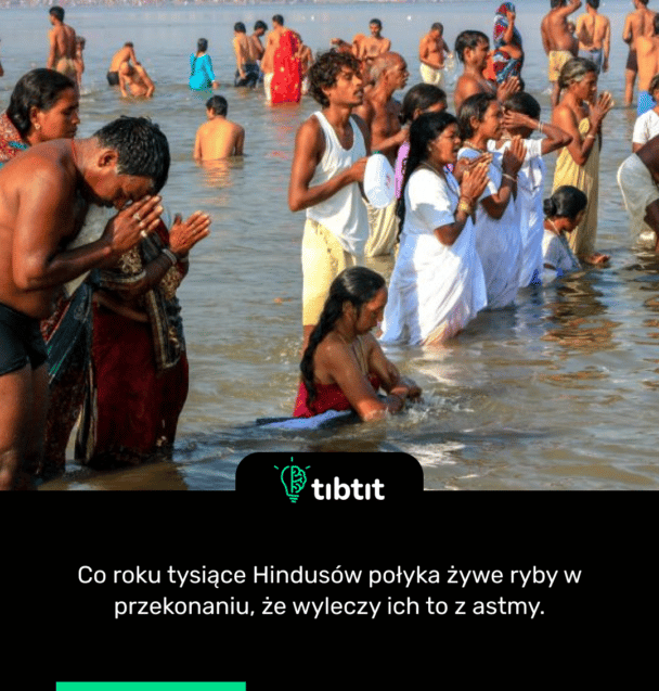 Co roku tysiące Hindusów połyka żywe ryby w przekonaniu, że wyleczy ich to z astmy.