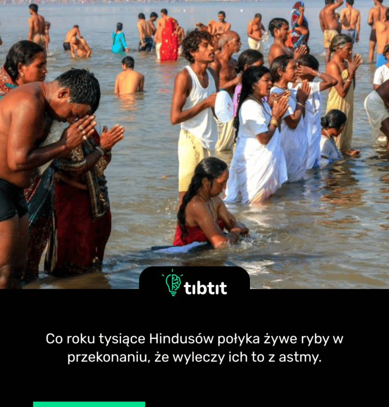 Co roku tysiące Hindusów połyka żywe ryby w przekonaniu, że wyleczy ich to z astmy.