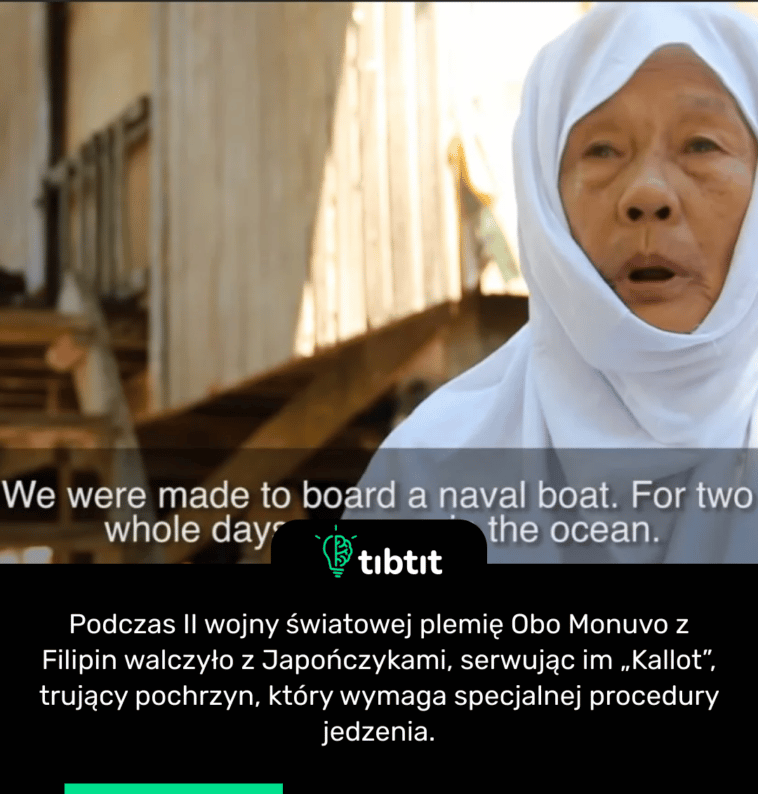 Podczas II wojny światowej plemię Obo Monuvo z Filipin walczyło z Japończykami, serwując im „Kallot”, trujący pochrzyn, który wymaga specjalnej procedury jedzenia.