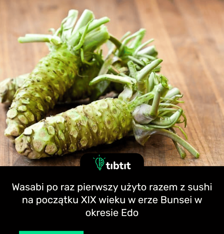 Wasabi po raz pierwszy użyto razem z sushi na początku XIX wieku w erze Bunsei w okresie Edo