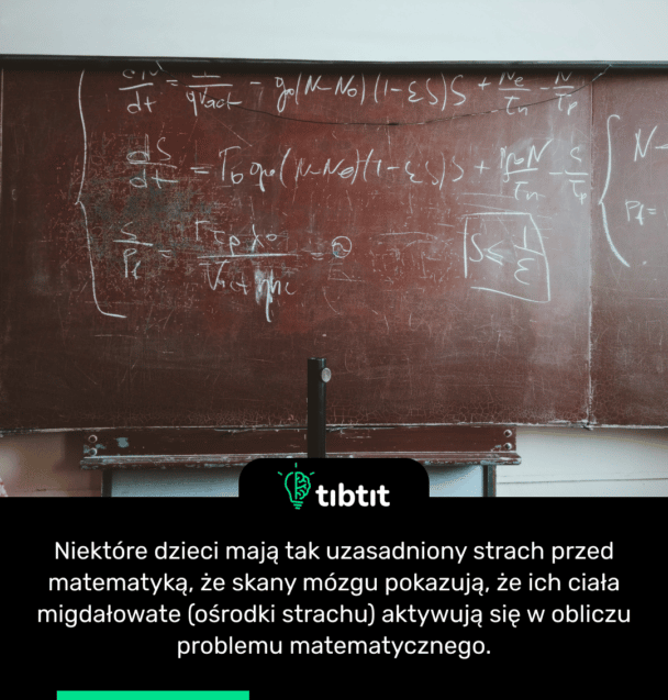 Niektóre dzieci mają tak uzasadniony strach przed matematyką, że skany mózgu pokazują, że ich ciała migdałowate (ośrodki strachu) aktywują się w obliczu problemu matematycznego.
