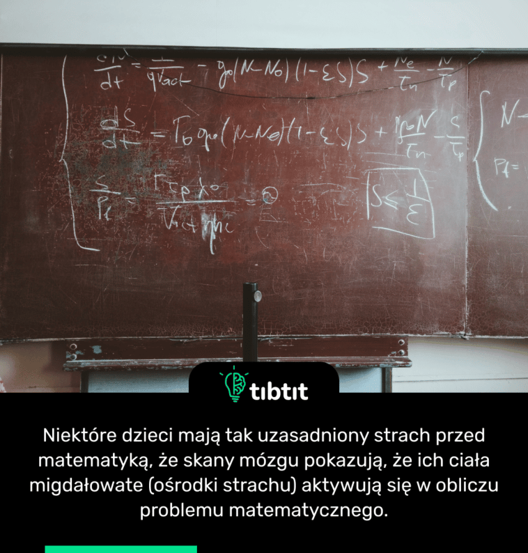 Niektóre dzieci mają tak uzasadniony strach przed matematyką, że skany mózgu pokazują, że ich ciała migdałowate (ośrodki strachu) aktywują się w obliczu problemu matematycznego.
