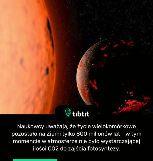 Naukowcy uważają, że życie wielokomórkowe pozostało na Ziemi tylko 800 milionów lat - w tym momencie w atmosferze nie było wystarczającej ilości CO2 do zajścia fotosyntezy.