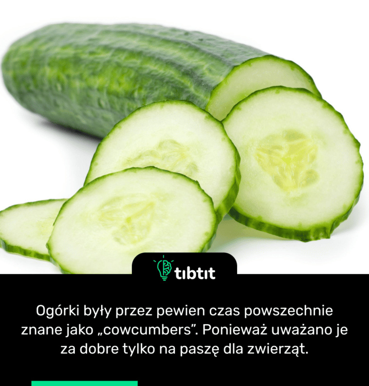 Ogórki były przez pewien czas powszechnie znane jako „cowcumbers”. Ponieważ uważano je za dobre tylko na paszę dla zwierząt.