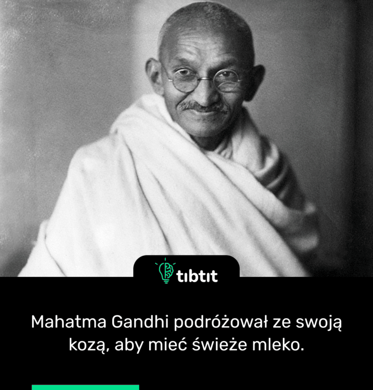 Mahatma Gandhi podróżował ze swoją kozą, aby mieć świeże mleko.