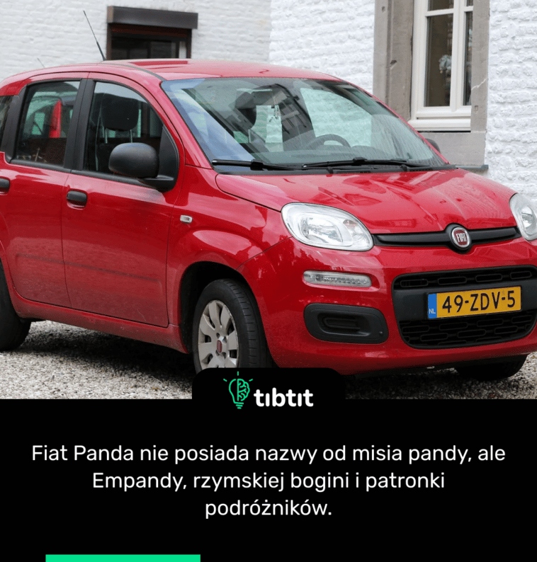 Fiat Panda nie posiada nazwy od misia pandy, ale Empandy, rzymskiej bogini i patronki podróżników.