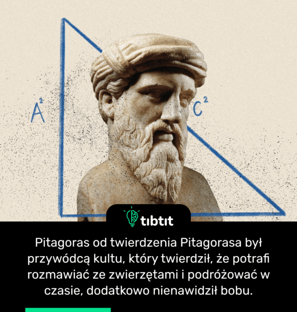 Pitagoras od twierdzenia Pitagorasa był przywódcą kultu, który twierdził, że potrafi rozmawiać ze zwierzętami i podróżować w czasie, dodatkowo nienawidził bobu.