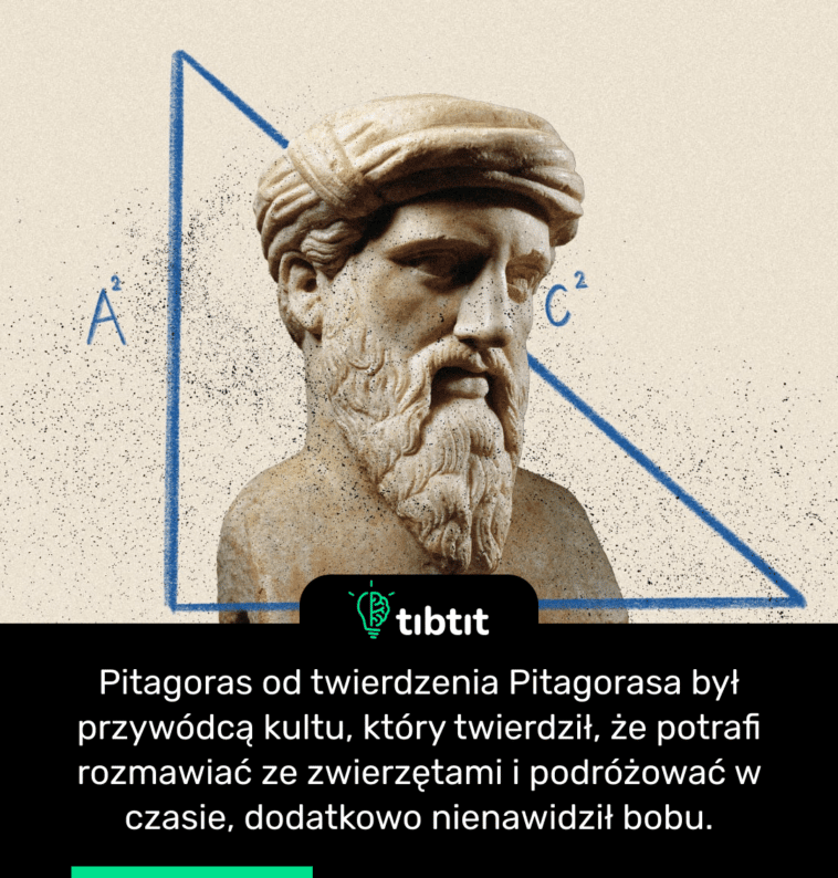 Pitagoras od twierdzenia Pitagorasa był przywódcą kultu, który twierdził, że potrafi rozmawiać ze zwierzętami i podróżować w czasie, dodatkowo nienawidził bobu.
