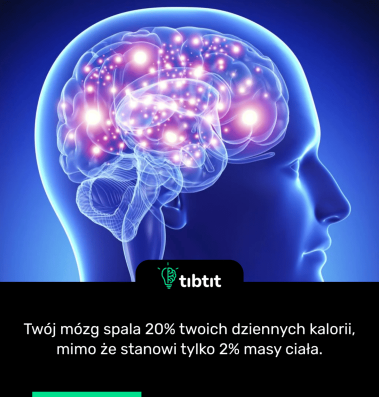 Twój mózg spala 20% twoich dziennych kalorii, mimo że stanowi tylko 2% masy ciała.