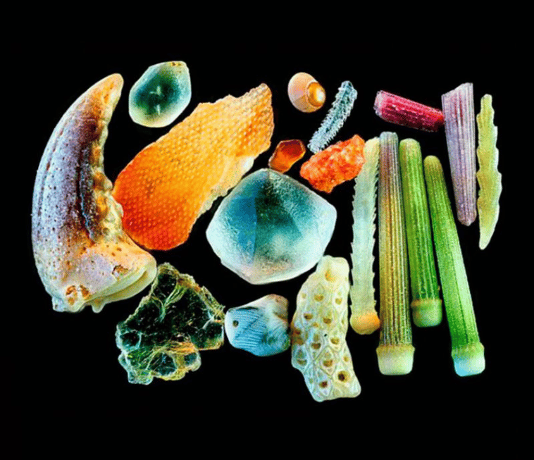 Jak wygląda piasek w powiększeniu 300x