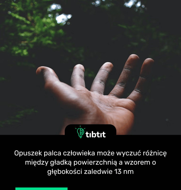 Opuszek palca człowieka może wyczuć różnicę między gładką powierzchnią a wzorem o głębokości zaledwie 13 nm