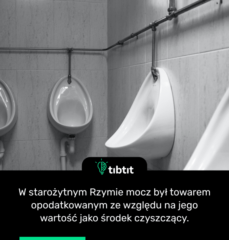 W starożytnym Rzymie mocz był towarem opodatkowanym ze względu na jego wartość jako środek czyszczący.