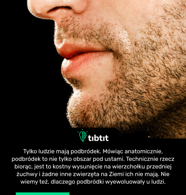 Tylko ludzie mają podbródek. Mówiąc anatomicznie, podbródek to nie tylko obszar pod ustami. Technicznie rzecz biorąc, jest to kostny wysunięcie na wierzchołku przedniej żuchwy i żadne inne zwierzęta na Ziemi ich nie mają. Nie wiemy też, dlaczego podbródki wyewoluowały u ludzi.