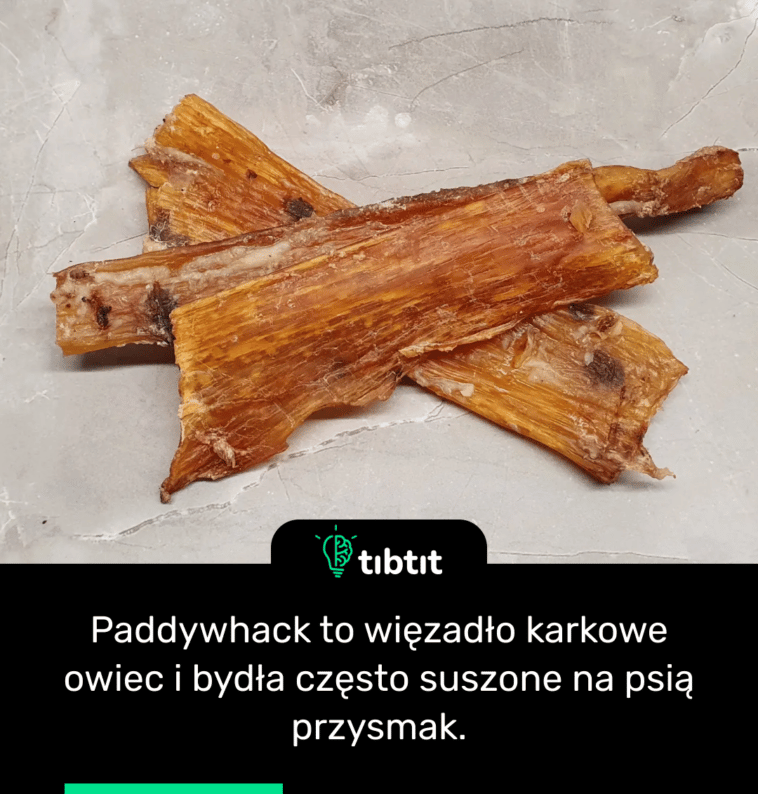Paddywhack to więzadło karkowe owiec i bydła często suszone na psią przysmak.